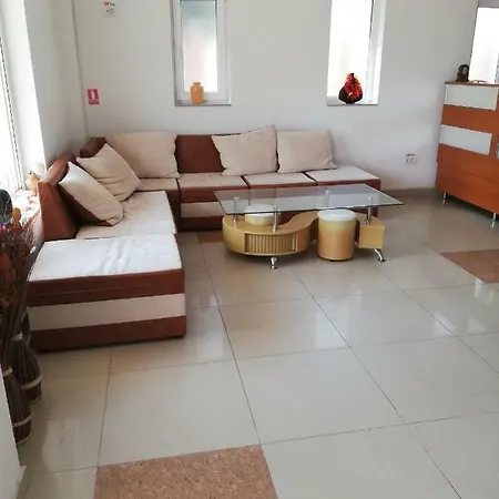 Pensiune Vila Vladony *